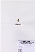 藏品(香蕉菜)的圖片